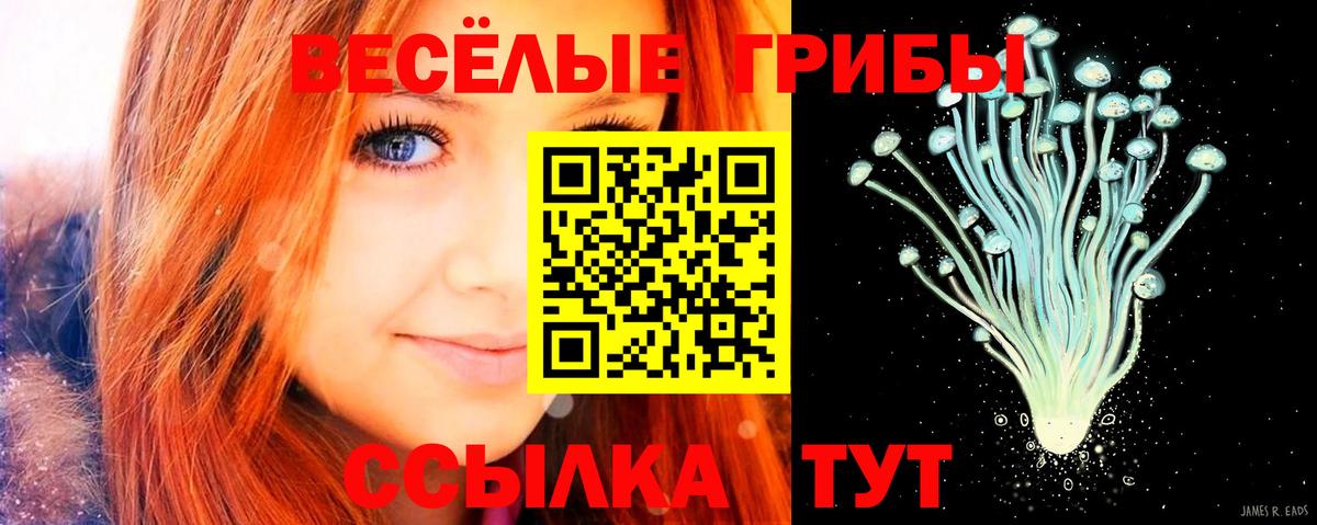 Псилоцибиновые грибы прущие грибы  Вход с VPN  где продают   Курчатов 