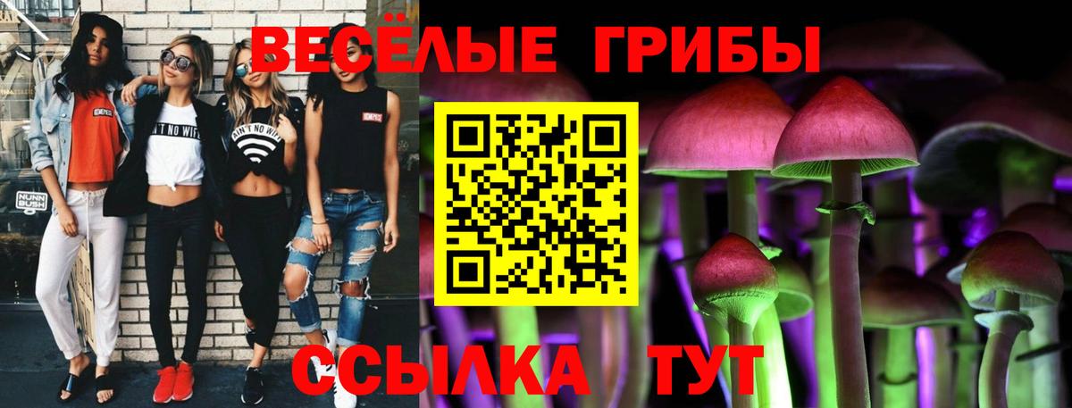 Галлюциногенные грибы мухоморы Курчатов