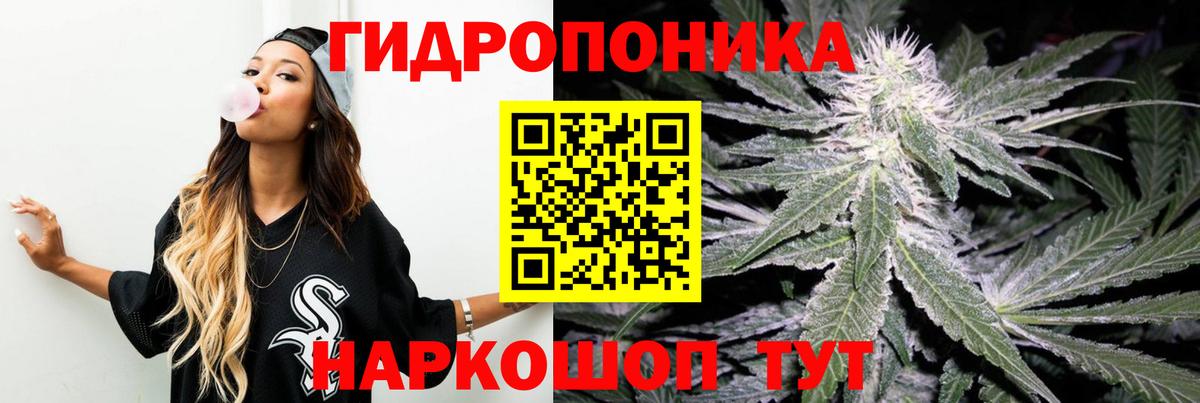 Каннабис гибрид  Каннабис Bruce Banner  Марихуана OG Kush  Курчатов  Вход с VPN 